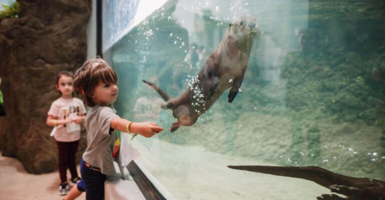 This Pennsylvania Science Center Makes It Easy to Spend Hours Exploring River Otters and Interactive Exhibits