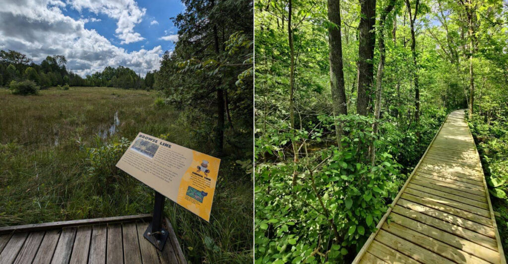 This Quiet Ohio Nature Preserve Makes The Perfect Peaceful Escape