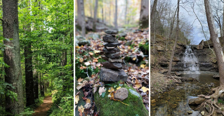 This Scenic Indiana Creek Hides 300-Million-Year-Old Crystal Geodes