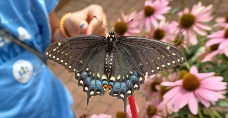 This Stunning Botanical Garden In Ohio Is Perfect For An Unforgettable Day Trip