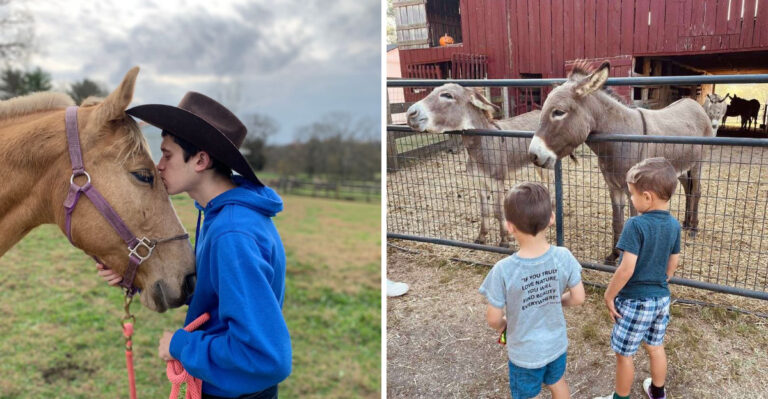 This Tennessee Rescue Farm Lets You Hand-Feed Friendly Animals With Incredible Stories