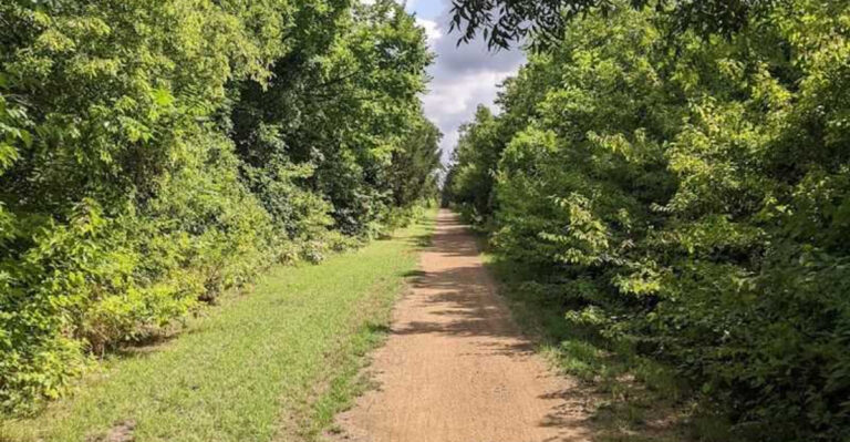 This Texas Rail Trail Is Perfect for Running, Biking, and Exploring Forgotten Towns