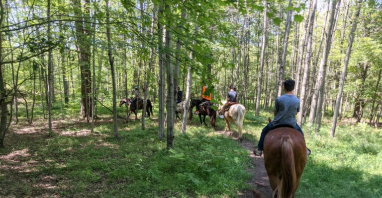 Tucked Away In Michigan, This Ranch Offers Trails That Feel Almost Personal