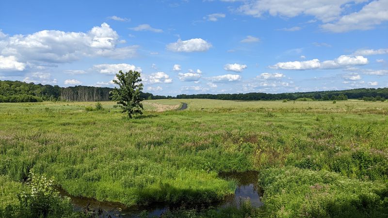 Where the Prairie Opens Up Where the Prairie Opens Up