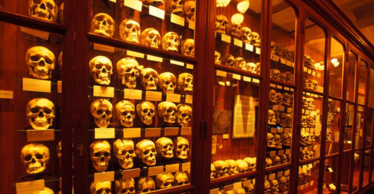Visit This Macabre Pennsylvania Museum That Honors The Bizarre