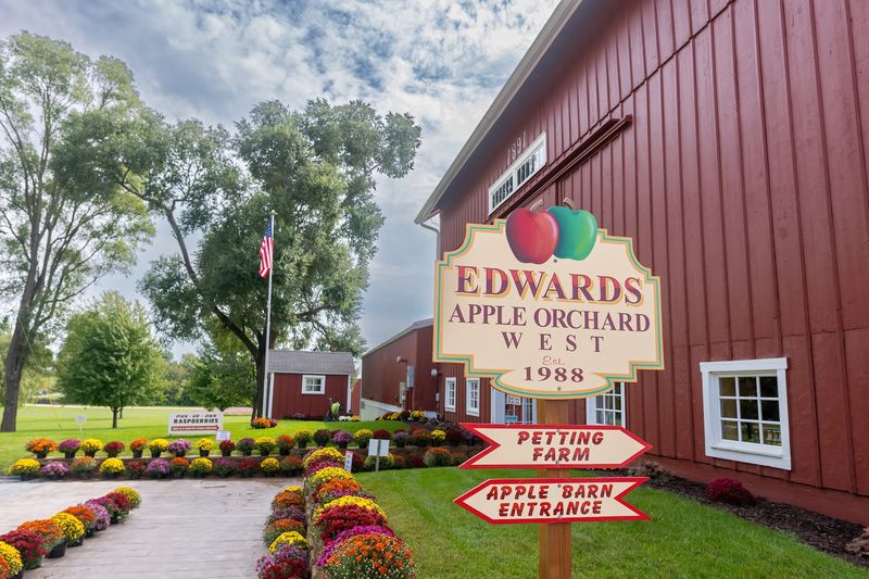 Edwards Apple Orchard (Poplar Grove) Edwards Apple Orchard (Poplar Grove)