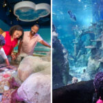Walk Through North Carolina’s Only Underwater Tunnel At This Incredible Aquarium
