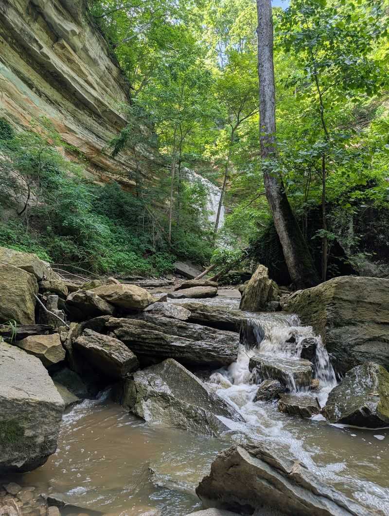 Trail 2, Clifty Canyon - Clifty Falls State Park, Madison Trail 2, Clifty Canyon - Clifty Falls State Park, Madison