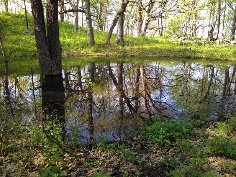How to Enjoy the Preserve Without Fighting It