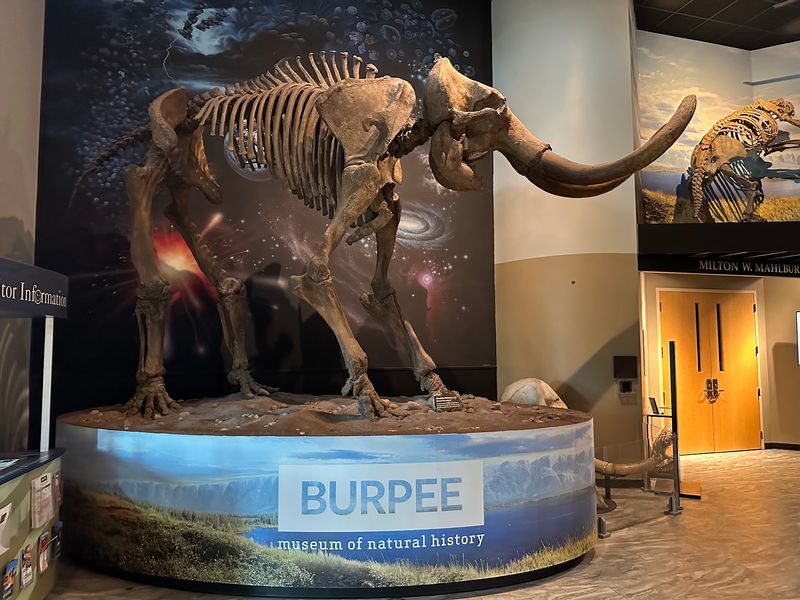 How to Explore Burpee Without Feeling Rushed How to Explore Burpee Without Feeling Rushed