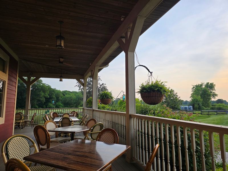 Sycamore Shade Sets the Scene