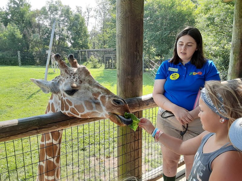 Where the Fort Wayne Children's Zoo Steals the Show