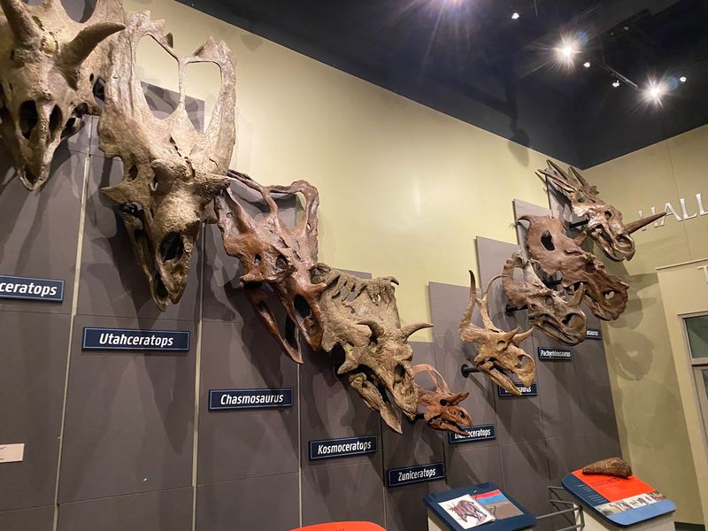 Why Rockford's Burpee Museum Earns Repeat Visits Why Rockford's Burpee Museum Earns Repeat Visits