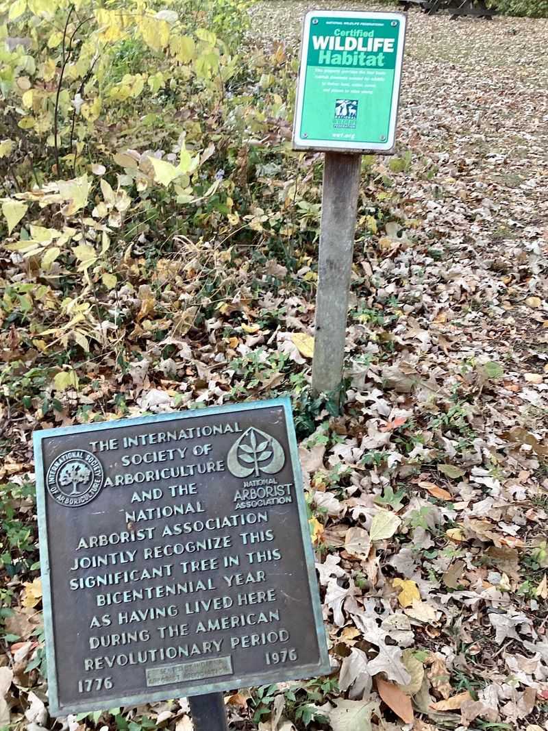 Why Irvington Protects This Corner of Indiana Why Irvington Protects This Corner of Indiana