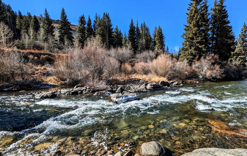 Blue River State Wildlife Area (Silverthorne)