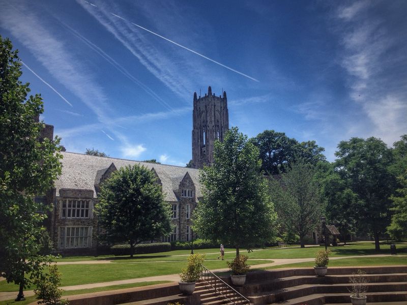 Study Abroad and International Opportunities Study Abroad and International Opportunities