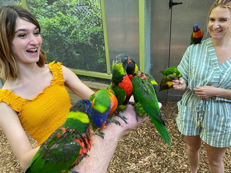Parrot Mountain and Gardens – Pigeon Forge Parrot Mountain and Gardens – Pigeon Forge
