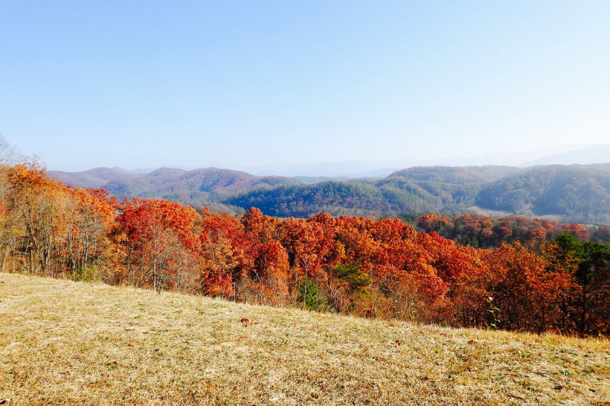 10 Best Spots to See Stunning Fall Foliage in Tennessee