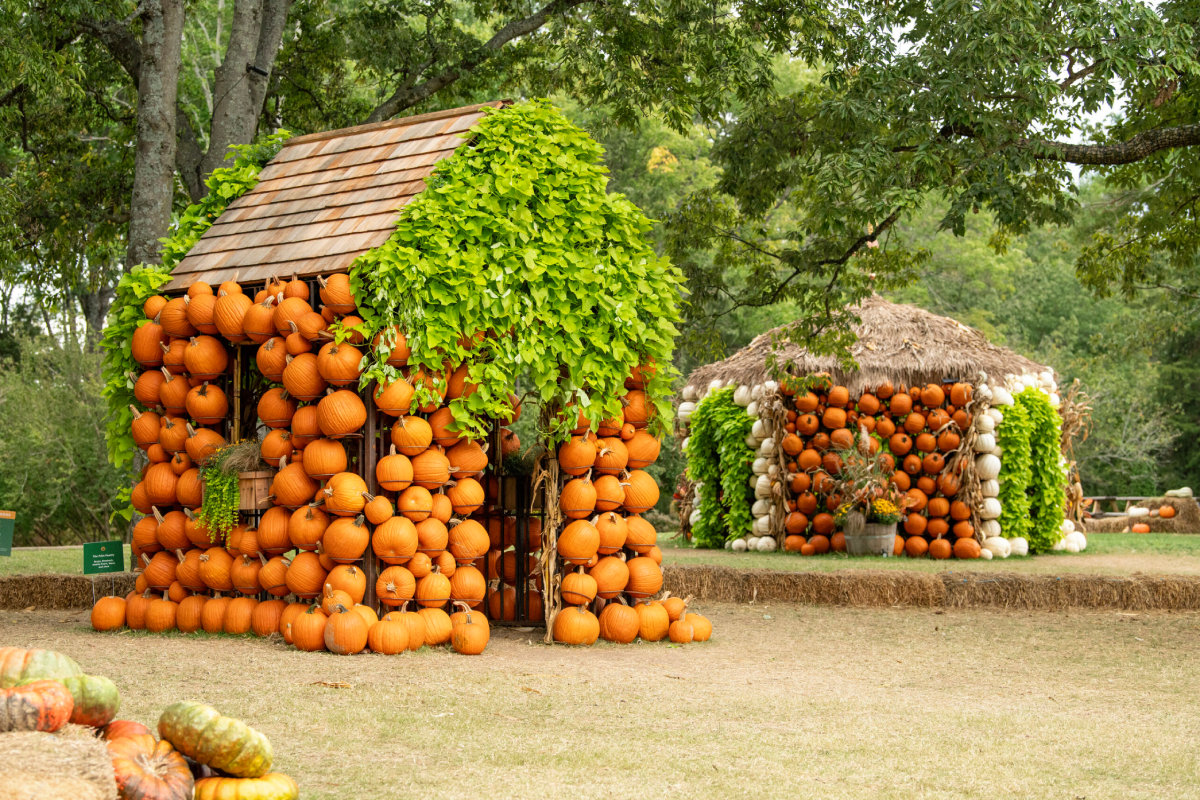 10 Tennessee Fall Festivals That'll Make You Want to Grab a Sweater and Hit the Road