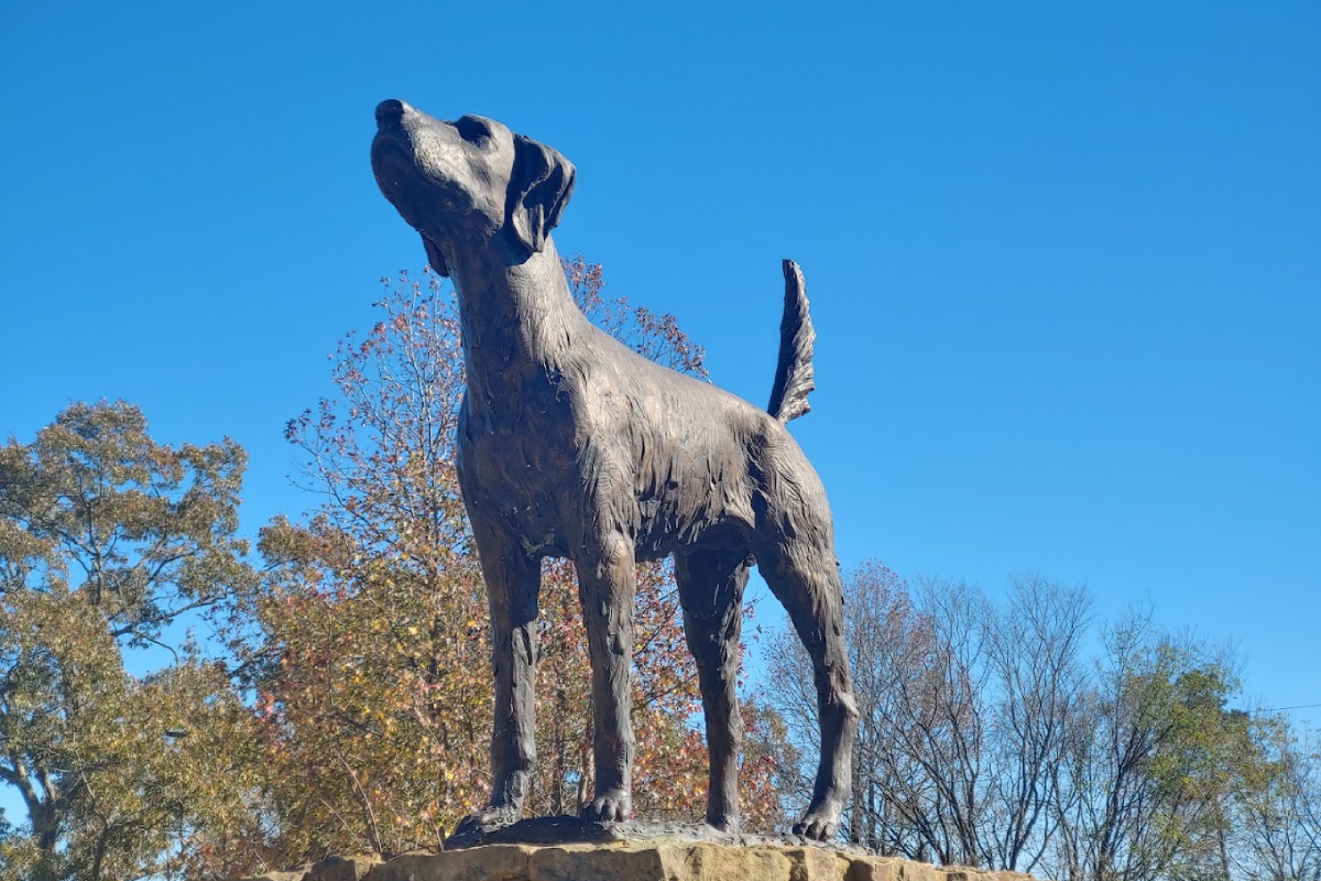 10 Tennessee Museums Dedicated to the Strangest Collections