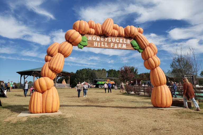 10 Tennessee Pumpkin Patches You’ll Want to Save for the Perfect Fall Day