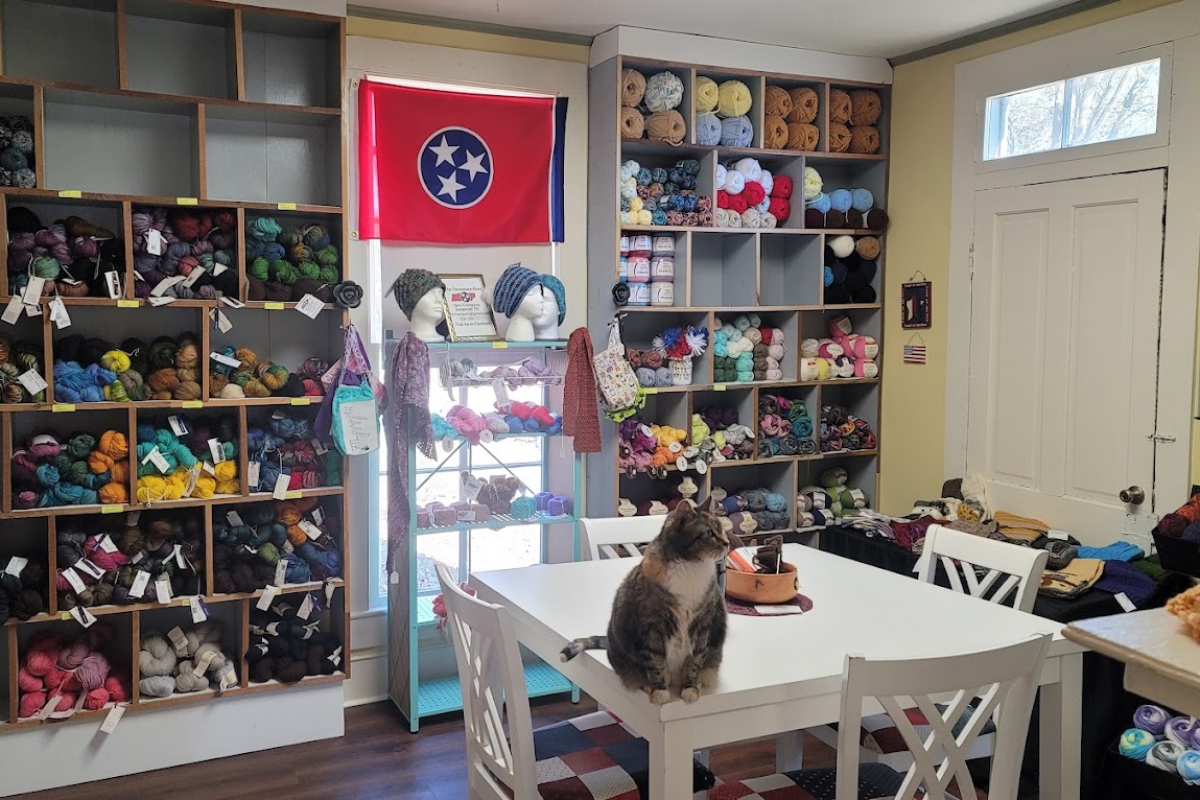 10 Tennessee Yarn Shops Perfect for Stocking Up, Getting Inspired & Discovering Hidden Gems