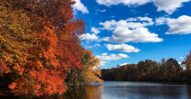 10 New Jersey Fall Day Trips Your Family Will Want to Make a Tradition