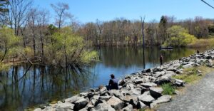 10 New Jersey Hikes With Water Features at Both the Start and Finish