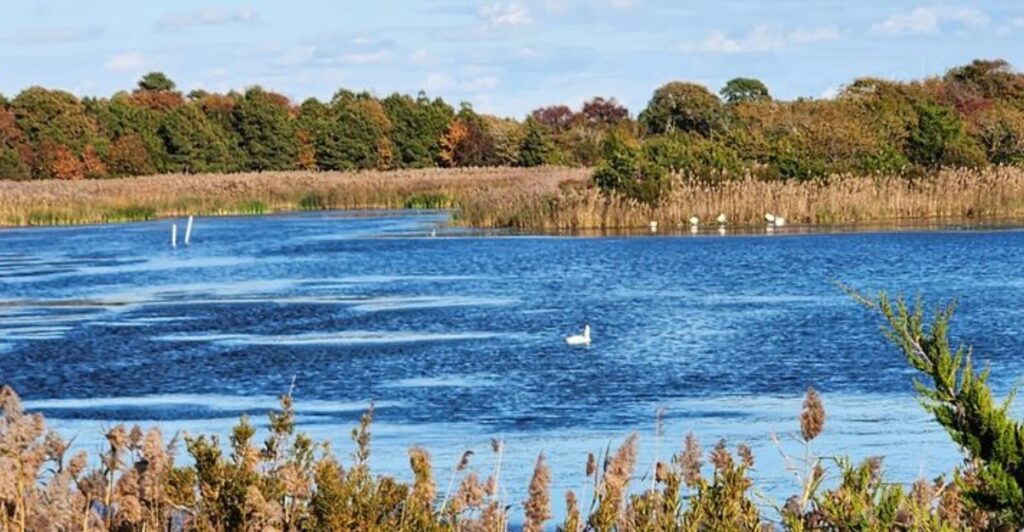 10 New Jersey Islands That Become Even Better in the Fall