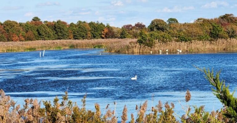 10 New Jersey Islands That Become Even Better in the Fall