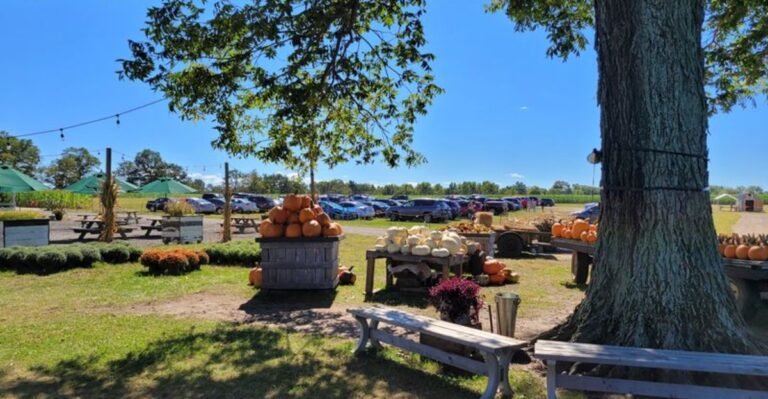 10 New Jersey Places Where Food and Animal Encounters Share the Spotlight