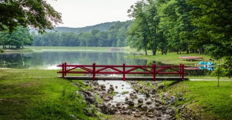 10 Ohio Hiking Trails Where You Need To Watch Your Step For Copperheads In October
