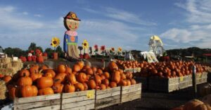 10 Pennsylvania Cider Mills That Serve Up Fresh Cider And Warm Doughnuts All Fall