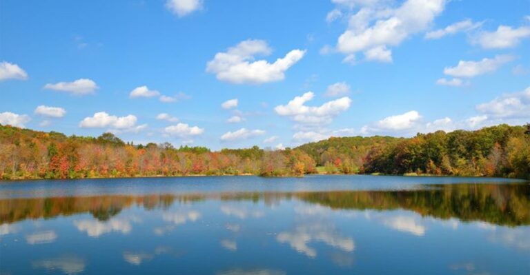 10 Pennsylvania Hikes Where Wildlife Made The Whole Trail Feel More Magical