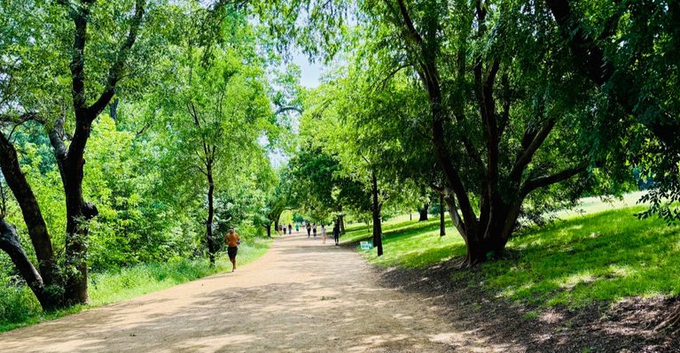 10 Senior-Friendly Texas Walking Trails Made For A Peaceful Day Outdoors