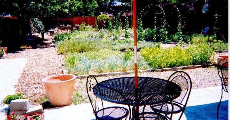 10 Texas Farm-to-Table Restaurants That Take Fresh Food Seriously