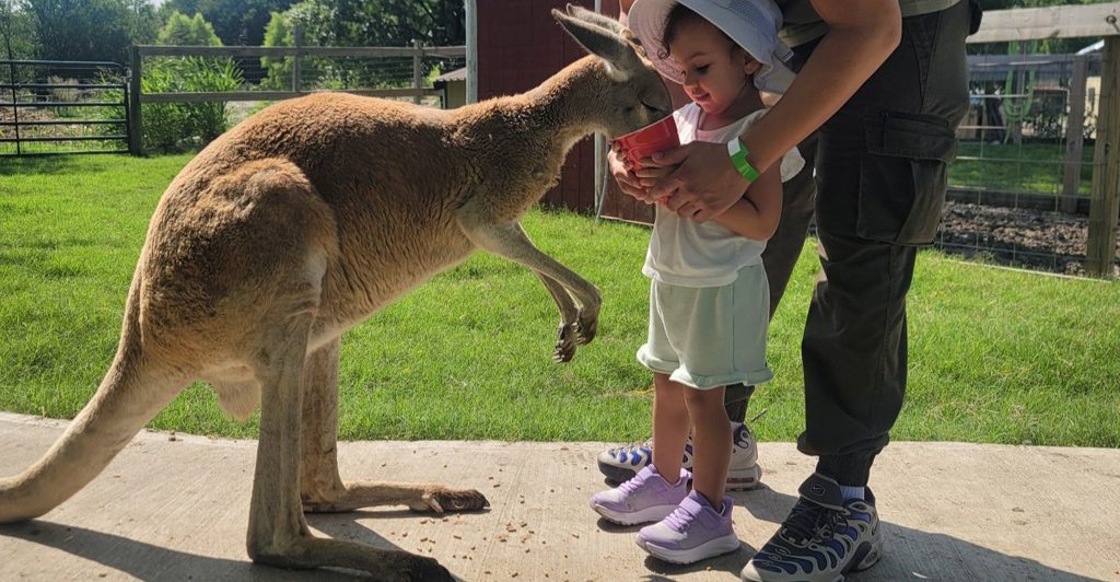 9 Texas Petting Farms Kids Will Talk About Long After The Visit