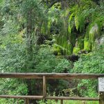 10 Texas Waterfall Hikes So Beautiful, You’ll Forget You’re In Texas
