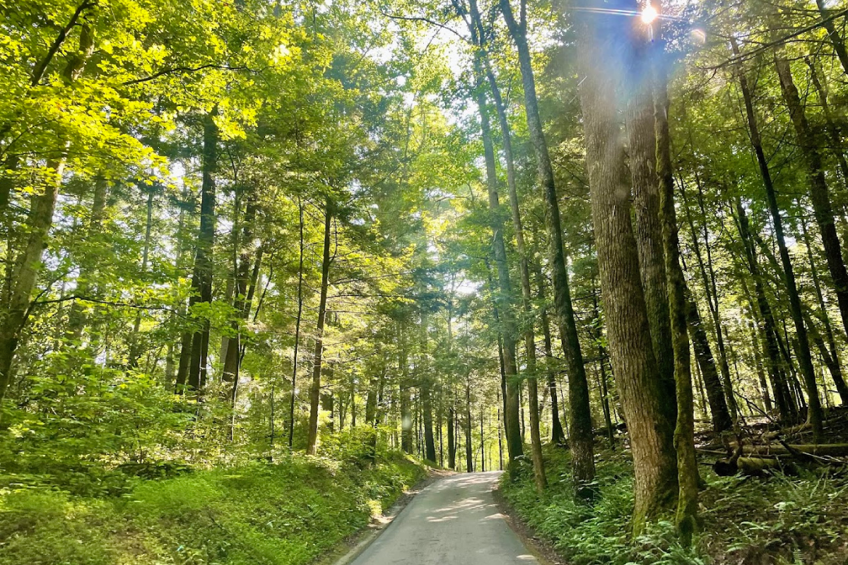 11 Senior-Friendly Tennessee Attractions With Plenty to See and Little Walking