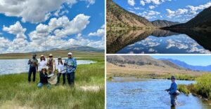 11 Colorado Trout Spots Worth The Drive For A Peaceful Day On The Water