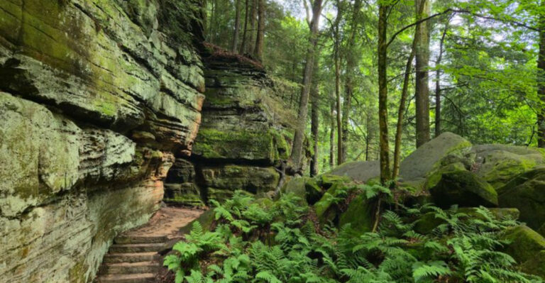 11 Dog-Friendly Ohio Trails Perfect For A Fall Weekend Adventure