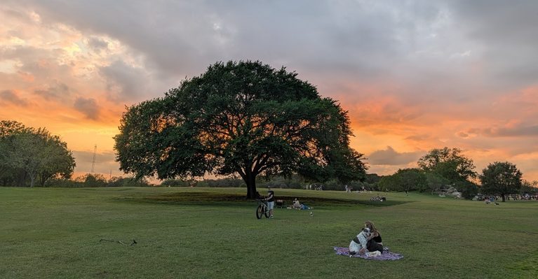 11 Texas Pet-Friendly Places Where Your Best Friend Is Always Welcome
