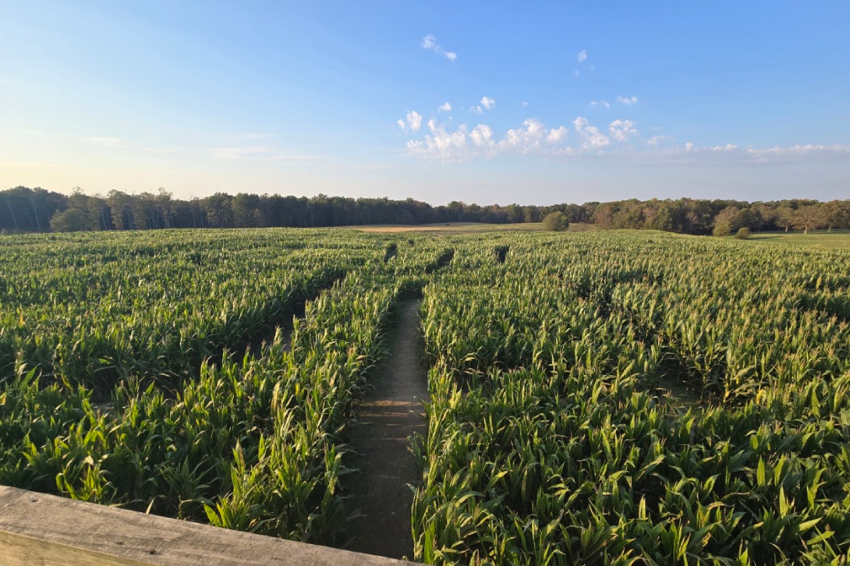 12 Tennessee Farms With Corn Mazes That Turn a Fall Day Into an Adventure