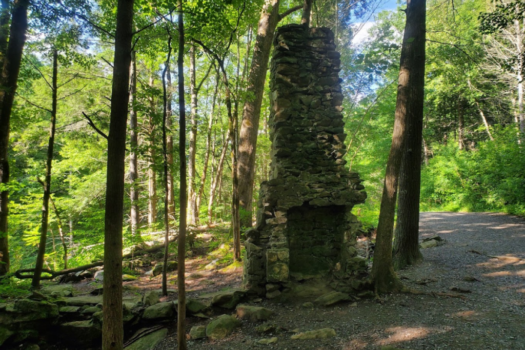 12 Tennessee Trails That Are Perfect for Beginners and Casual Hikers