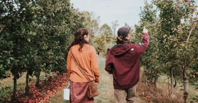 12 Apple Picking Spots In Pennsylvania That Are Perfect For A Fall Getaway
