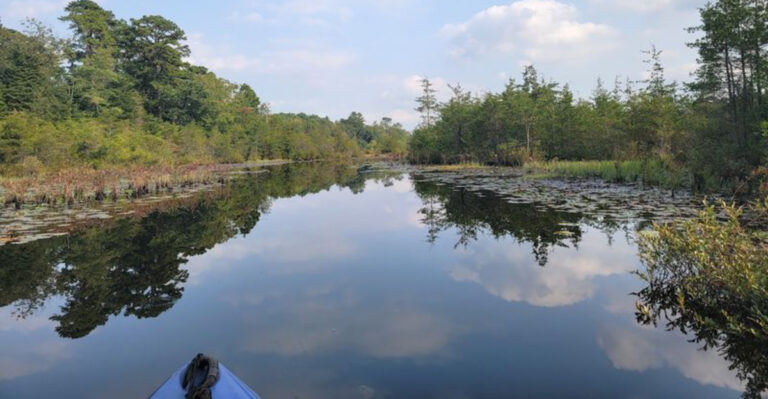 12 New Jersey Places To Go When You Need A Quiet Day Away From Everything