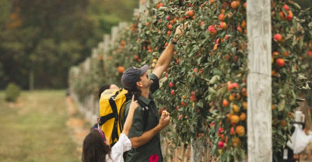 12 Ohio Apple Picking Farms Worth Visiting For A Memorable Fall Day