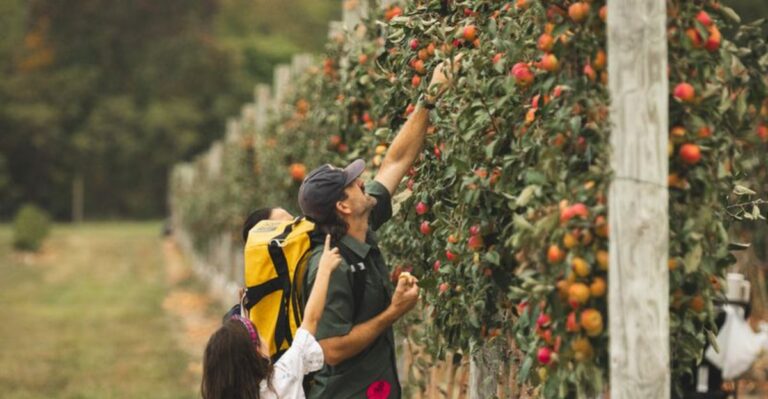 12 Ohio Apple Picking Farms Worth Visiting For A Memorable Fall Day