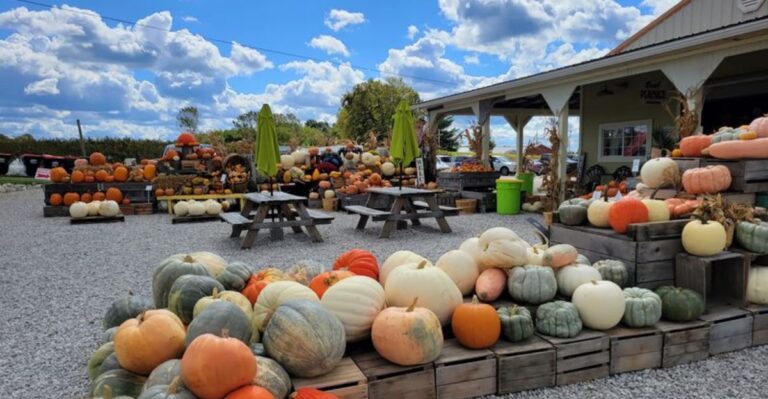 12 Ohio Applehouse Markets You Should Visit During October