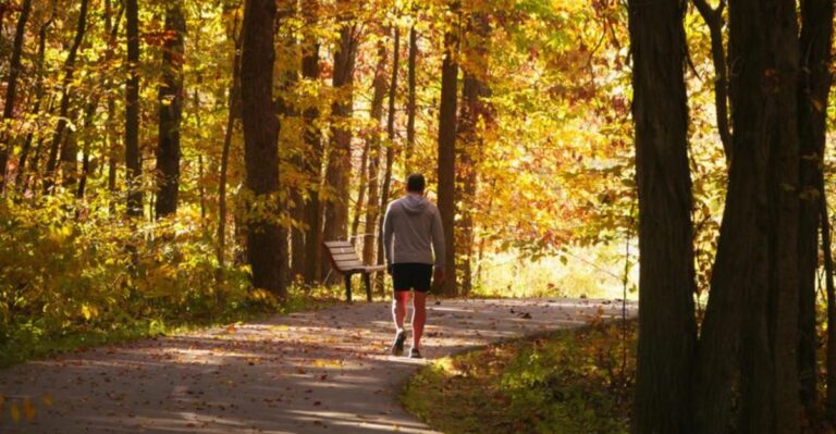 12 Ohio Fall Hikes That Turn A Simple Dog Walk Into An Adventure